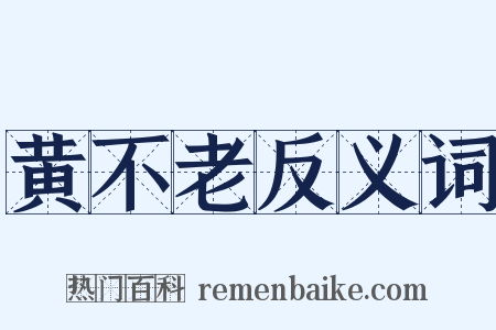 黄不老反义词是什么意思的图片